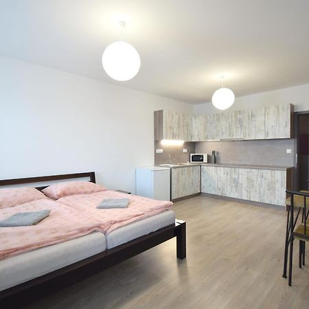 Apartman Zlatovska 22B Trenčín エクステリア 写真